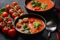 Andalusian gazpacho. Red tomato cold gazpacho soup Royalty Free Stock Photo