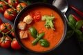 Andalusian gazpacho. Red tomato cold gazpacho soup Royalty Free Stock Photo