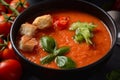 Andalusian gazpacho. Red tomato cold gazpacho soup Royalty Free Stock Photo