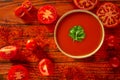 Andalusian gazpacho tomato sauce in red Royalty Free Stock Photo