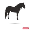 Andalusian horse color flat icon