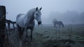 Andalusian horse in a on foggy meadow. Generative Ai