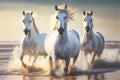 White horses running