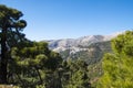 Andalusian mountain scenery with rolling hills olive groves and farms under a blue sky in southern spain Royalty Free Stock Photo