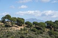 Andalusian mountain scenery with rolling hills olive groves and farms under a blue sky in southern spain Royalty Free Stock Photo