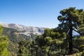 Andalusian mountain scenery with rolling hills olive groves and farms under a blue sky in southern Spain Royalty Free Stock Photo