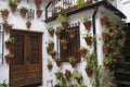 Andalusian patio facade decorated with pots and hanging plants. Cordoba, Andalusia, Spain