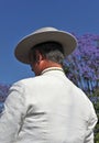 Andalusian rider, the pilgrimage of El Rocio in Seville, Andalusia, Spain