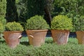 Andalusian terracota pots and plants