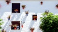 Andalusian white facade with flowerpots Royalty Free Stock Photo