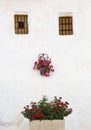 Andalusian whitewashed house with flowerpots and jardiniere face