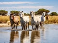 Ai Generated illustration Wildlife Concept of Andalusian Wild-horses Royalty Free Stock Photo