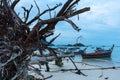 Andaman crystal sea white sand beach at lipe island Royalty Free Stock Photo