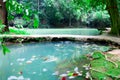 Andaman Thailand outdoor photography of waterfall in rain jungle forest. Trees, PHUKET, Royalty Free Stock Photo