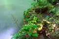 Andaman Thailand outdoor photography of waterfall in rain jungle forest. Trees, PHUKET, Royalty Free Stock Photo