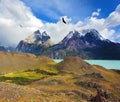 Andean condors fly over the lake Pehoe Royalty Free Stock Photo