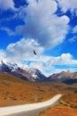 Andean condors fly over the lake Royalty Free Stock Photo