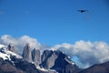 Andean condors fly in Parque Nacional Torres del Paine, Chile Royalty Free Stock Photo