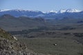 Andean Condors flying over high cliffs, Patagonia, Chile Royalty Free Stock Photo