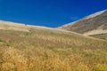 Andean landscape