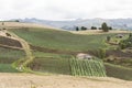 Andean landscape, rural houses and welsh onion fields, Allium fistulosum