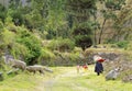 An andean shepherd with family and sheep.San mateo, peru.