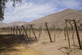 Andean vineyards.