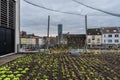 Anderlecht, Brussels Capital Region - Belgium - View over the cultivation of vegetables at the rooftop ofan Urban farm