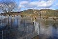 Andernach, Germany - 02 04 2021: Fences and trees in the Rhine flood Royalty Free Stock Photo