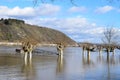 Andernach, Germany - 02 04 2021: Trees and ship jetty in the Rhine flood Royalty Free Stock Photo