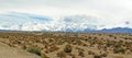 The Andes, Barreal near Mendoza, Argentina