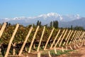 Andes mountain range, in the Argentine province of Mendoza Royalty Free Stock Photo