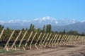 Andes mountain range, in the Argentine province of Mendoza Royalty Free Stock Photo