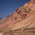 Andes at the pass between Chile and Argentina Royalty Free Stock Photo