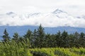 Andes & Vineyard, Uco Valley, Mendoza Royalty Free Stock Photo