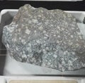 Andesite porphyry extrusive igneous rocks