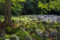 Andesite stone sea in Slovak republic Royalty Free Stock Photo