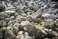 Andesite stone sea in Slovakia