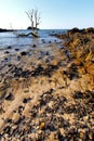 Andilana seaweed in indian ocean mountain sand isle sky