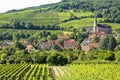 Andlau (Alsace) - Vineyards Royalty Free Stock Photo