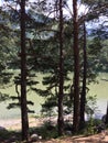 Andorra lake behind the vegetation