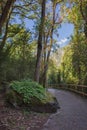 Andorra Rec del Obac pedestrian pathway