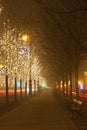 Andrassy way at christmastime Royalty Free Stock Photo