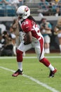 Andre Ellington Royalty Free Stock Photo