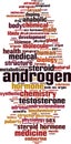 Androgen word cloud Royalty Free Stock Photo