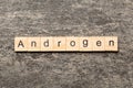 androgen word written on wood block. androgen text on table, concept Royalty Free Stock Photo