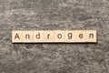 androgen word written on wood block. androgen text on table, concept