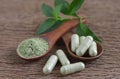 Andrographis capsule Herbal capsule and leaves on a wooden background,copy space