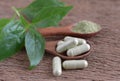 Andrographis capsule Herbal capsule and leaf on a wooden background