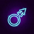 Androgyne Neon Sign